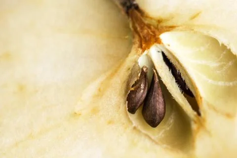 Apple core with seeds, close-up Stock Photos