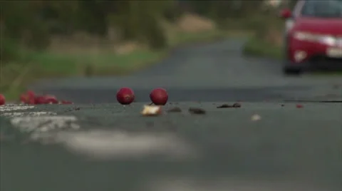 Apple crushed - HD Stock Footage 24690891