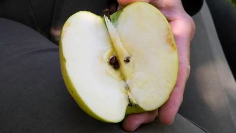 An apple cut in half in the hand of an elderly woman. Stock Photos