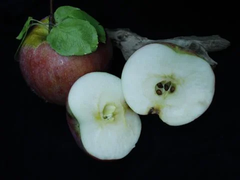 Apple cut in half for sharing Stock Photos