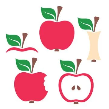 Apple design elements イラスト素材