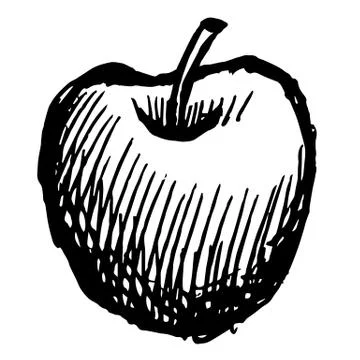 Apple doodle hand drawn Stock Illustration