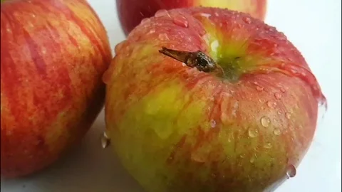 Apple dripping wet water Stock Footage 88000950