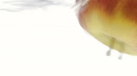 Apple drop in water  Vidéo 377211