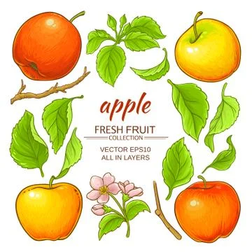 Apple elements set Stock Illustration