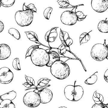Apple engraving pattern. Seamless hand drawn print with organic garden fruits Stock Illustration