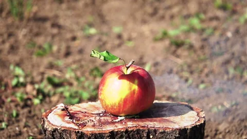 Apple explosion. Slow motion Vídeo Stock 142762413
