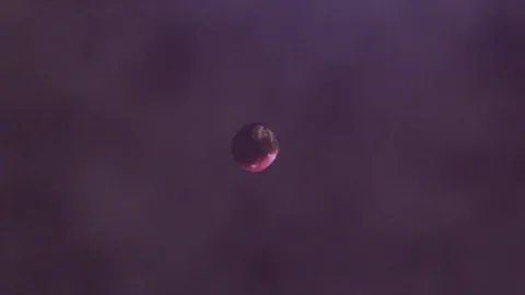 Apple falls into abyss Stock Footage 100379301