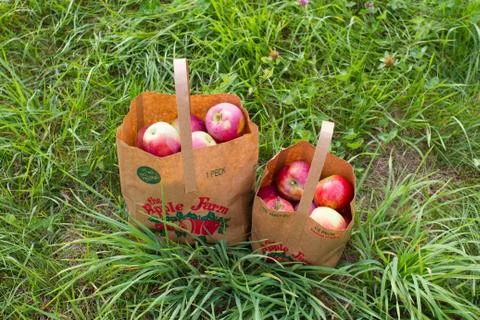 Apple Farm Stock-Fotos