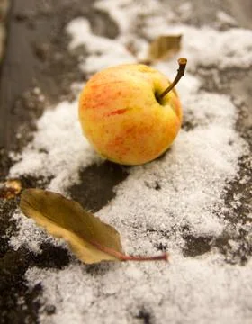Apple on the first October snow Stock Photos