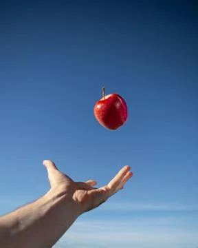 Apple floating above hand Stock Photos