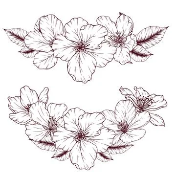 Apple flower bouquets Stock Illustration