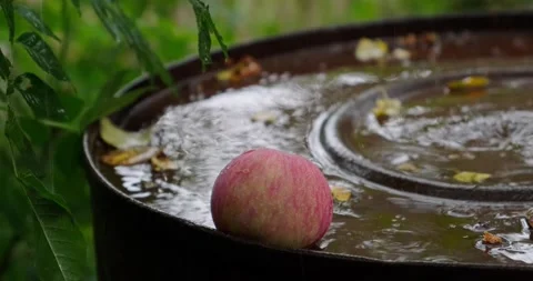 Apple Stock Footage 137650287