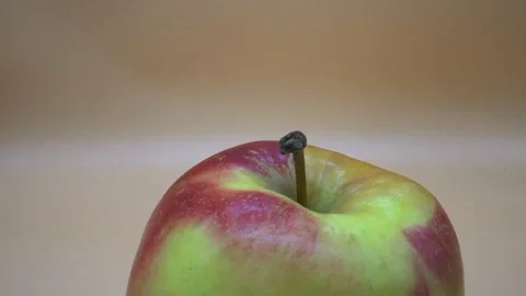 Apple Stock Footage 140427459