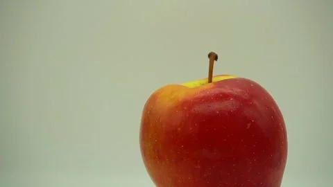 Apple Stock Footage 140427488