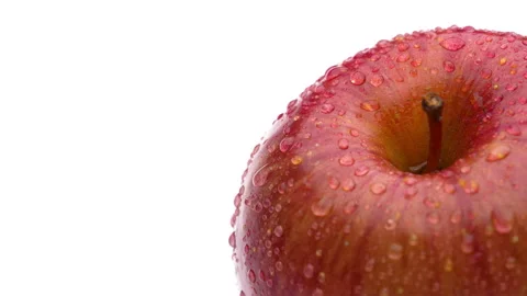 Apple Stock Footage 157139644