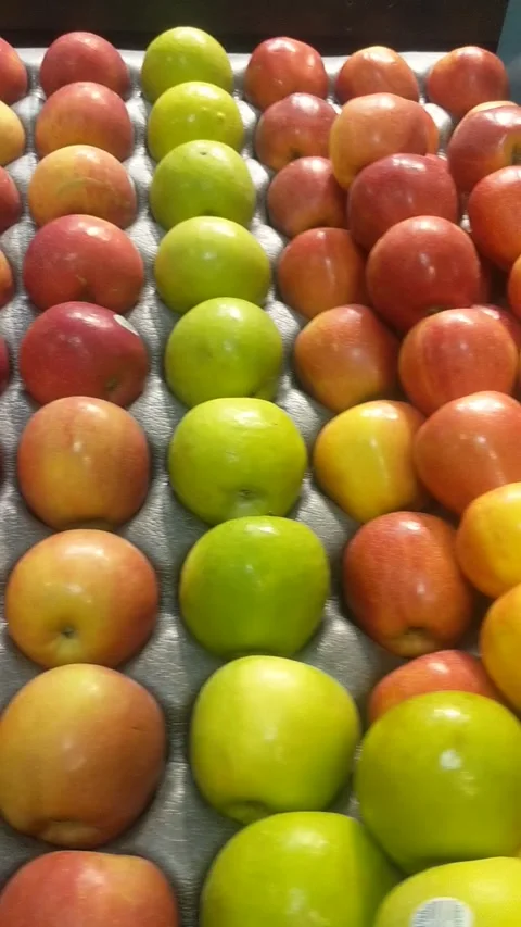 Apple Stock Footage 219589274