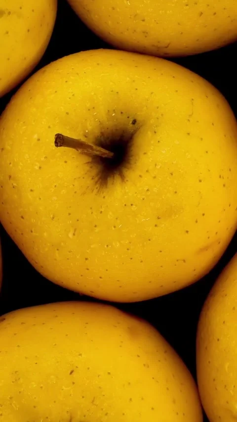 Apple Stock Footage 323941721