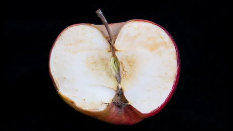 Apple fragment shows aging process, Close view of fruit deterioration over time, Stock Footage 325650172