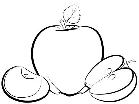 Apple fruit and slice vector, Stock Illustration