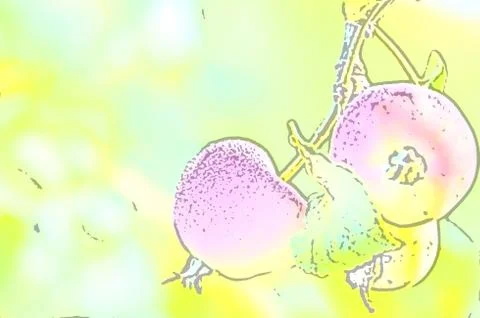 Apple fruit branch pattern Stock Illustration