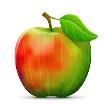Apple fruit close up Stock Illustration