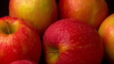 Apple fruit, closeup of red apple fruit, food background, ripe apple fruit Stock Footage 238419848