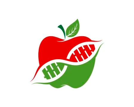 Apple fruit with DNA symbol inside Stock Illustration
