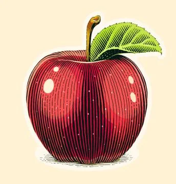 Apple fruit with green leaf. Scratch board style. Organic healthy food. Eps10 Stock Illustration