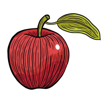 Apple fruit hand drawn engraved sketch drawing vector Stock Illustration
