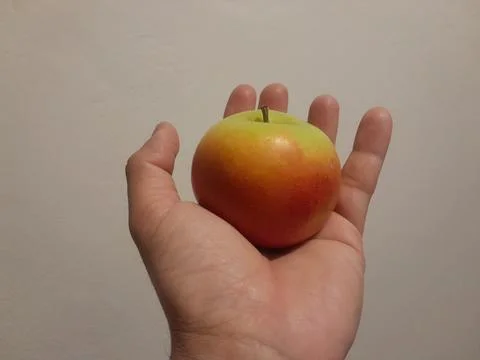 Apple fruit on hand. Stock Photos