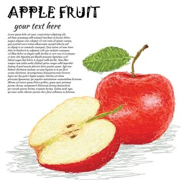 Apple fruit Stock Illustration