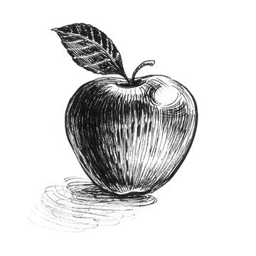 Apple fruit Illustrazione stock