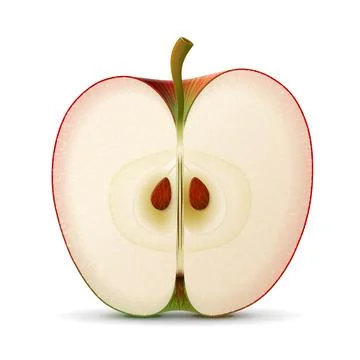 Apple fruit slice close up Stock Illustration