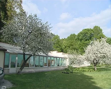 Apple fruit tree branch Stock Footage 10742661