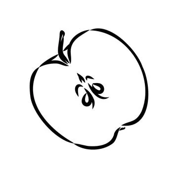 Apple fruit vector illustration. Engraved organic food hand drawn sketch engr Stock Illustration