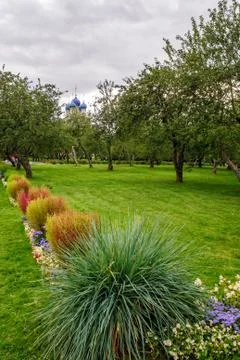 Apple garden Stock Photos