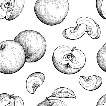 Apple graphic black white seamless pattern sketch illustration vector Stock Illustration