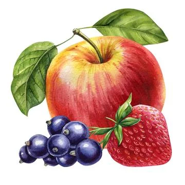 Apple with green leaf, berries black currant, strawberry, fruit isolated Stock Illustration