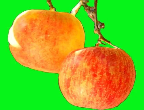 Apple green screen 스톡 사진