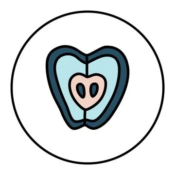 Apple half doodle icon hand drawn with thin line minimalistic style and color Stock Illustration