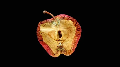 The apple half dries out and shrinks, time lapse, isolated on black 스톡 동영상 163361580