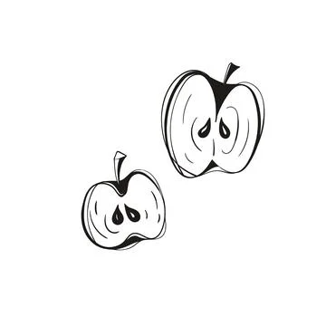 Apple Halves Cross Section Line Art Vector Illustrazione stock