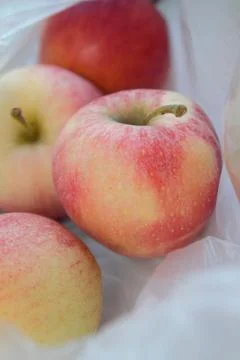 Apple halves isolated on background Stock Photos