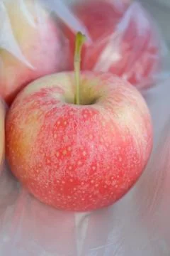 Apple halves isolated on background Stock Photos