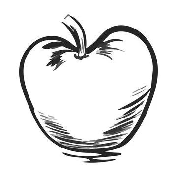 Apple hand drawn sketch. Fruit line art outline. Vector illustration isolated Stock Illustration