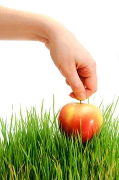 Apple in hand Stock Photos