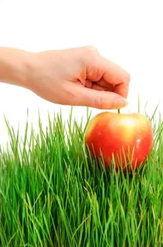 Apple in hand Stock Photos