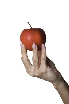 Apple In Hand On White Background Stock Photos