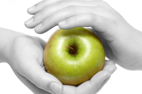 Apple in hands (BW) Stock Photos
